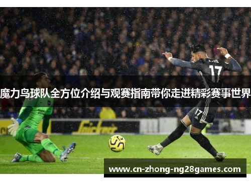 魔力鸟球队全方位介绍与观赛指南带你走进精彩赛事世界 魔力鸟球队全方位介绍与观赛指南带你走进精彩赛事世界