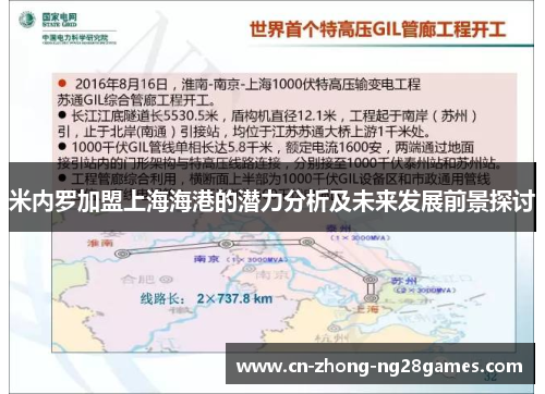 米内罗加盟上海海港的潜力分析及未来发展前景探讨